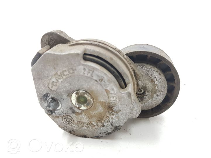 Volvo XC60 Napinacz paska wielorowkowego / Alternatora 0122107