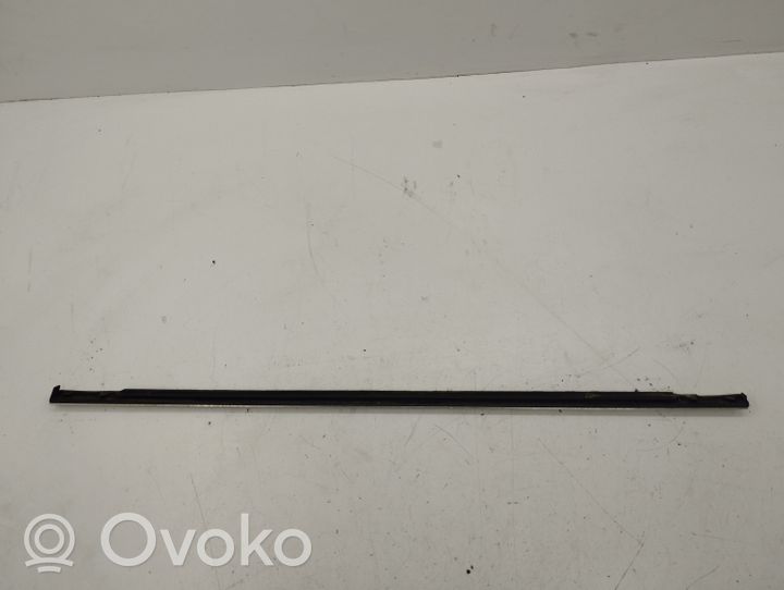 Volkswagen PASSAT B5.5 Rear door glass trim molding 