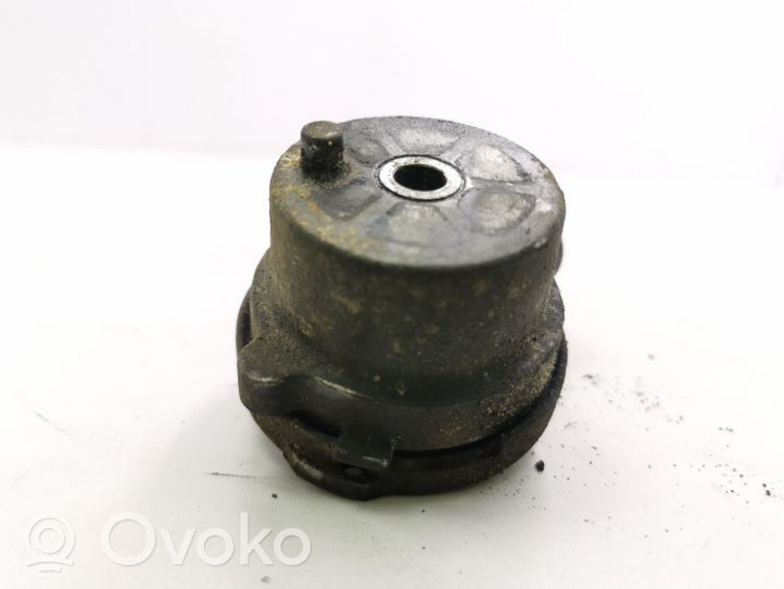 Opel Antara Napinacz paska wielorowkowego / Alternatora 25192084