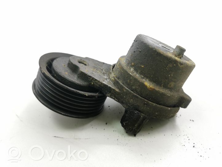 Opel Antara Napinacz paska wielorowkowego / Alternatora 25192084