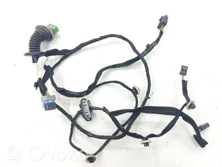 Citroen C4 II Cablaggio porta anteriore 9675699280