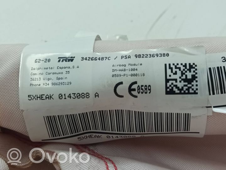 Citroen C5 Aircross Stogo oro pagalvė (užuolaida) 9822369380