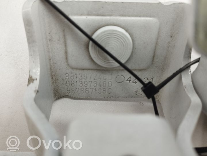 Opel Mokka B Set di cerniere portiera di carico 9813972480