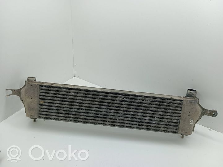Nissan Qashqai Interkūlerio radiatorius G3062004