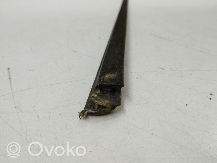 Volvo S60 Front door glass trim molding 