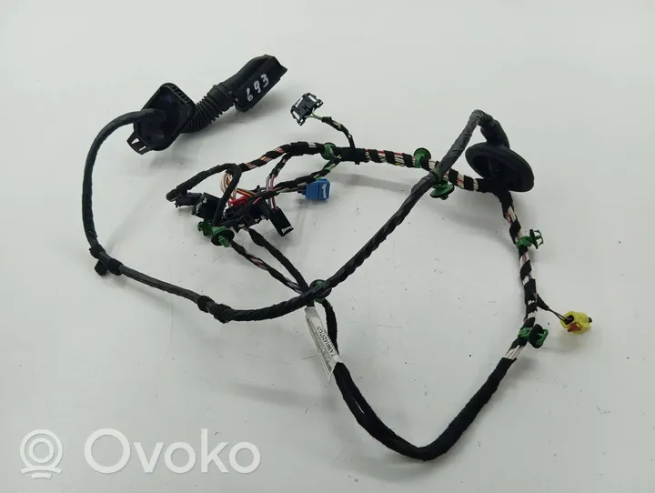 Volkswagen PASSAT B8 Front door wiring loom 3G2971120H