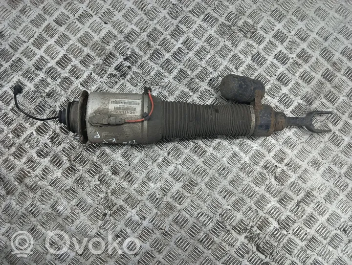 Bentley Flying Spur Front air suspension shock absorber 3W5616039B