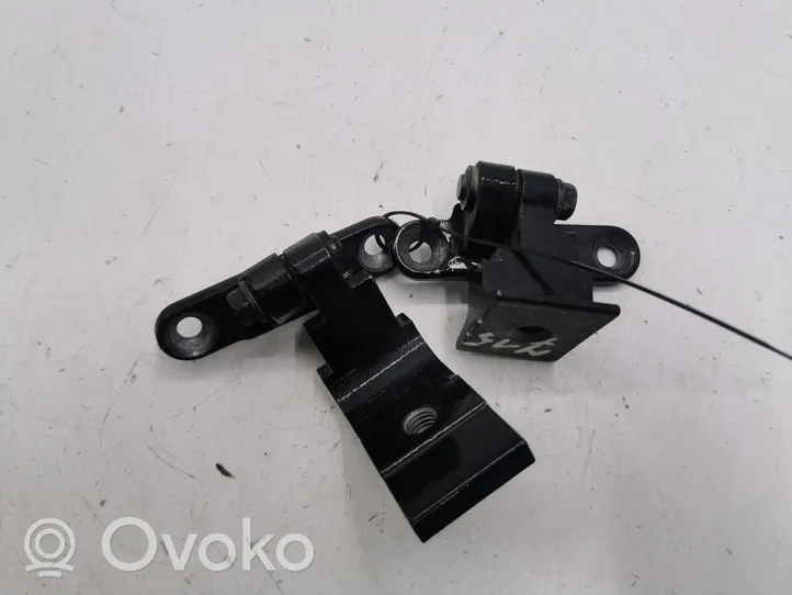 BMW 5 F10 F11 Rear door hinge set 7185633