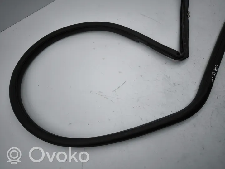 Toyota C-HR Rear door rubber seal (on body) 