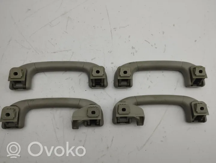 Opel Antara A set of handles for the ceiling 