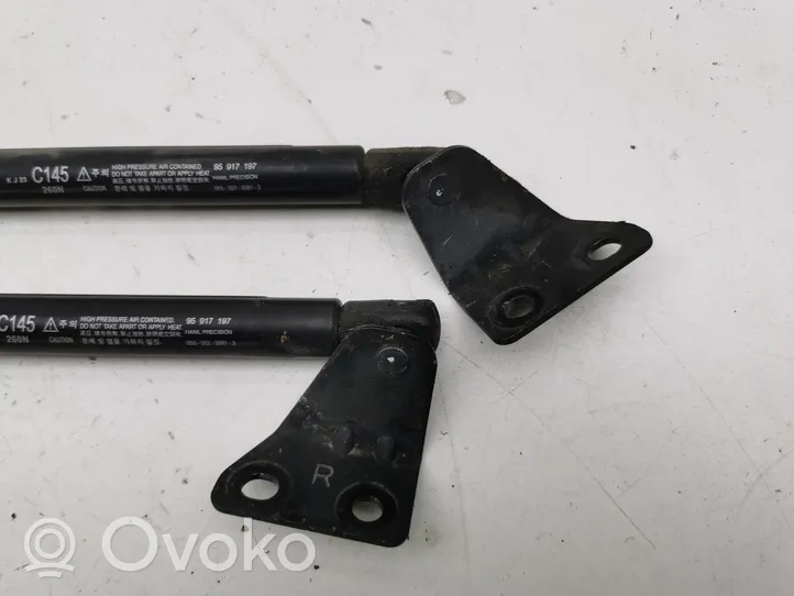 Opel Antara Ammortizzatore portellone anteriore/cofano 05532220813