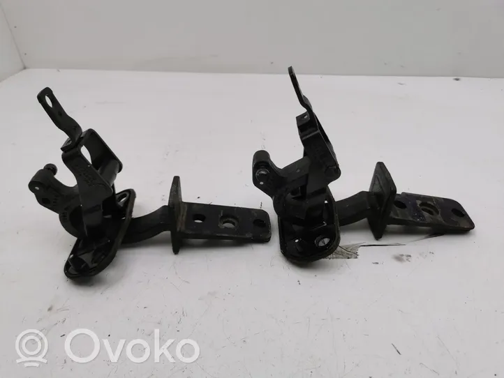 Volvo V70 Set di cerniere portiera di carico 312184256