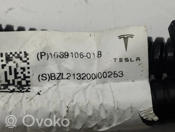 Tesla Model S Poignée extérieure de porte arrière 106910601B