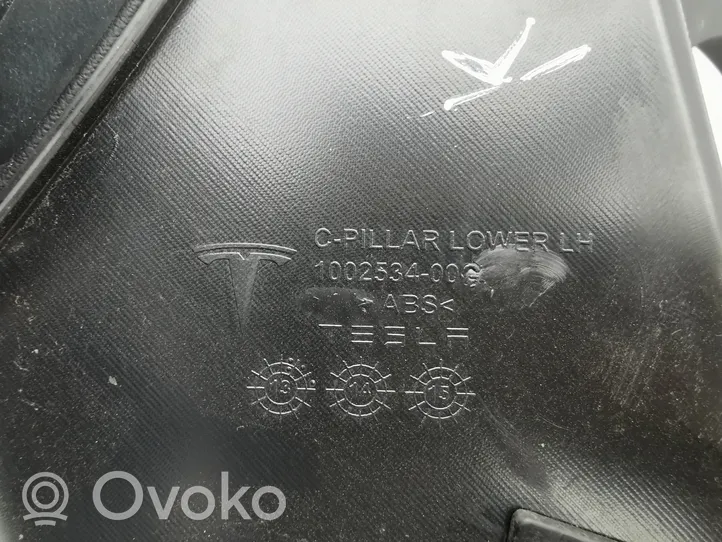 Tesla Model S Revêtement de pilier (bas) 100253400G