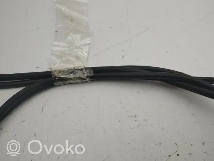 Tesla Model S Sunroof sealing rubber 101444300B