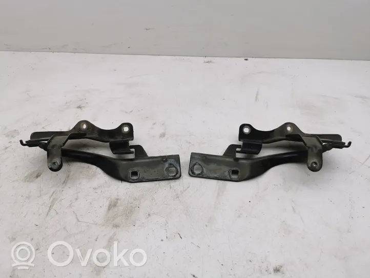 Opel Antara Engine bonnet/hood hinges 