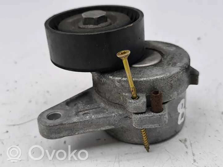 Audi A5 Napinacz paska wielorowkowego / Alternatora 04L903315A