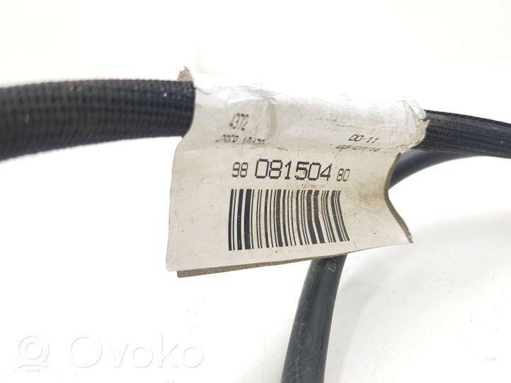 Citroen C4 Cactus Câble de batterie positif 9808150480