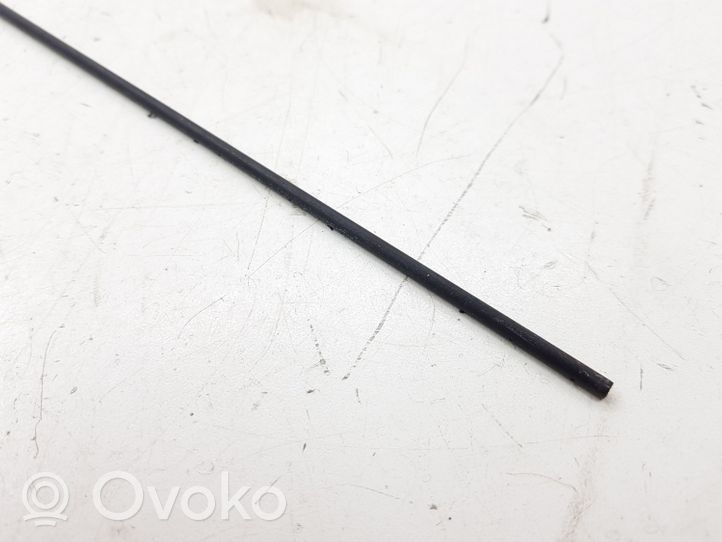 Renault Kangoo I Antenna autoradio 