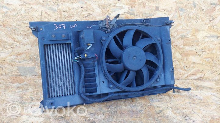 Peugeot 307 Kit Radiateur 