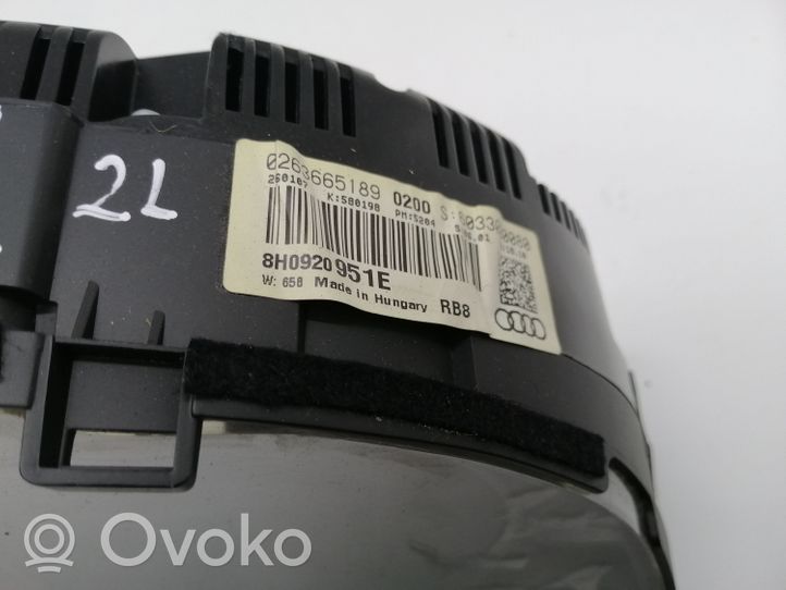 Audi A4 S4 B7 8E 8H Tachimetro (quadro strumenti) 8H0920951E