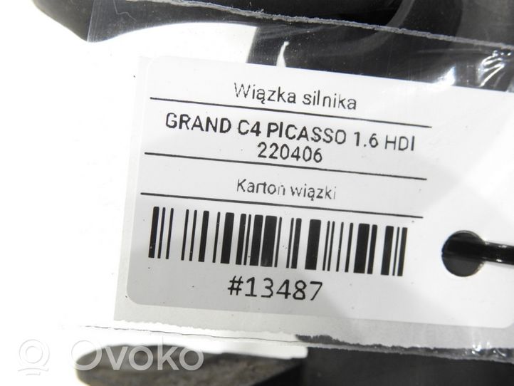 Citroen C4 Grand Picasso Cableado de instalación del motor 9687672280