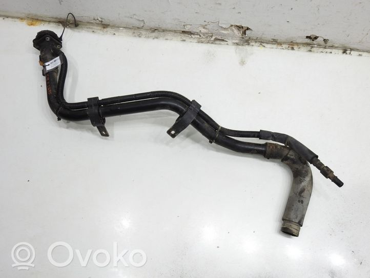 Hyundai Santa Fe Tubo e bocchettone per riempimento serbatoio del carburante 31030-2BXXX