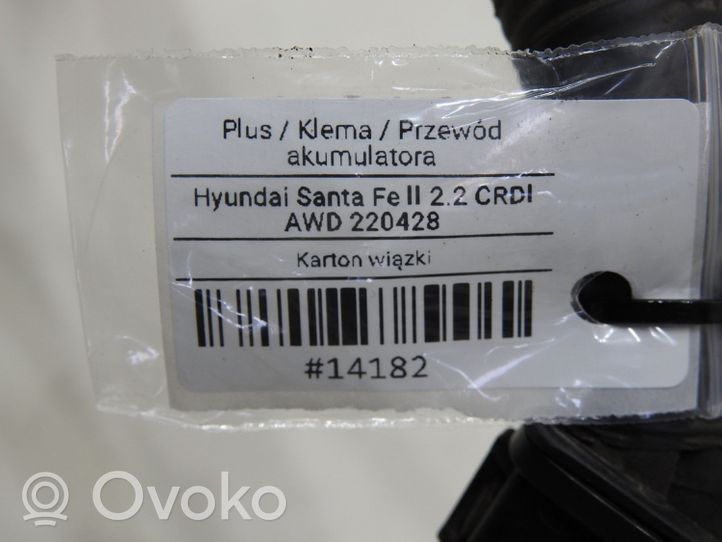 Hyundai Santa Fe Positive cable (battery) 91850-2B200