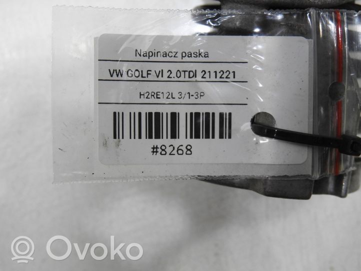 Volkswagen Golf VI Timing belt tensioner 038903315AH