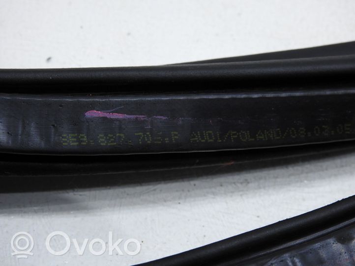 Audi A4 S4 B7 8E 8H Trunk rubber seal (body) 