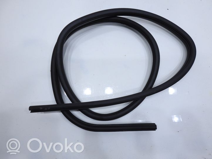 Ford Focus Rubber seal rear door 