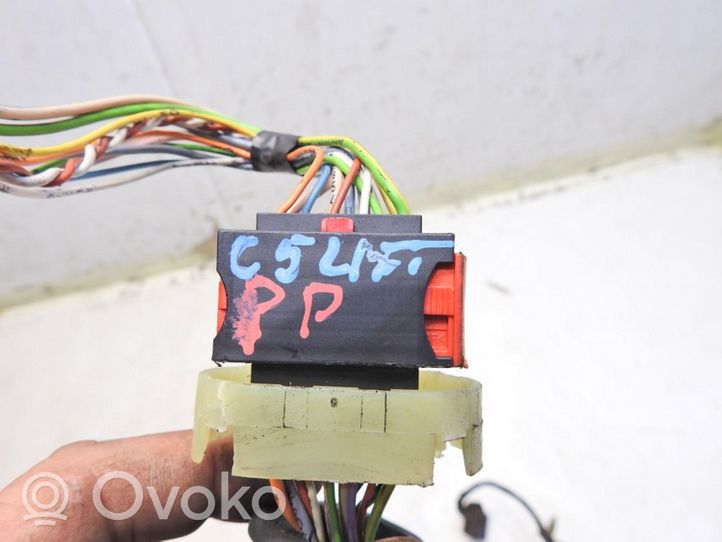 Citroen C5 Cableado de puerta delantera 9650503080