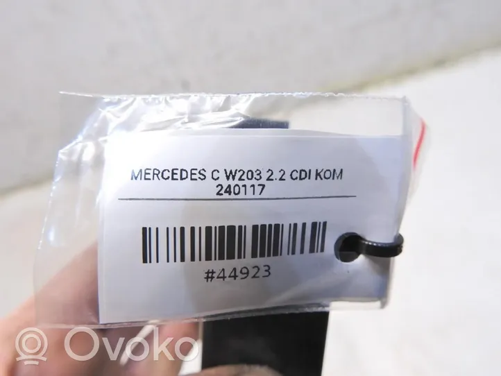 Mercedes-Benz C AMG W203 Centralina/modulo portiere 2038202185