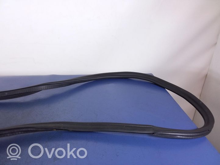 BMW 5 G30 G31 Front door rubber seal 