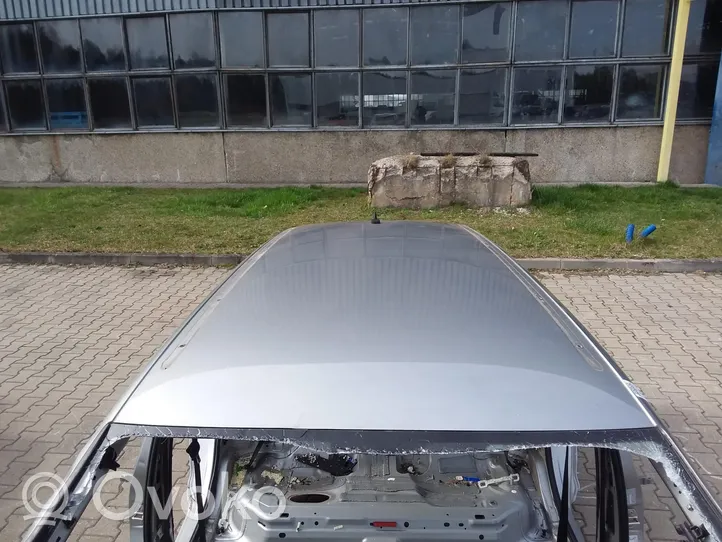 Volkswagen PASSAT B8 Dach 