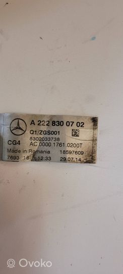 Mercedes-Benz S C217 Tubo flessibile aria condizionata (A/C) A2228300702