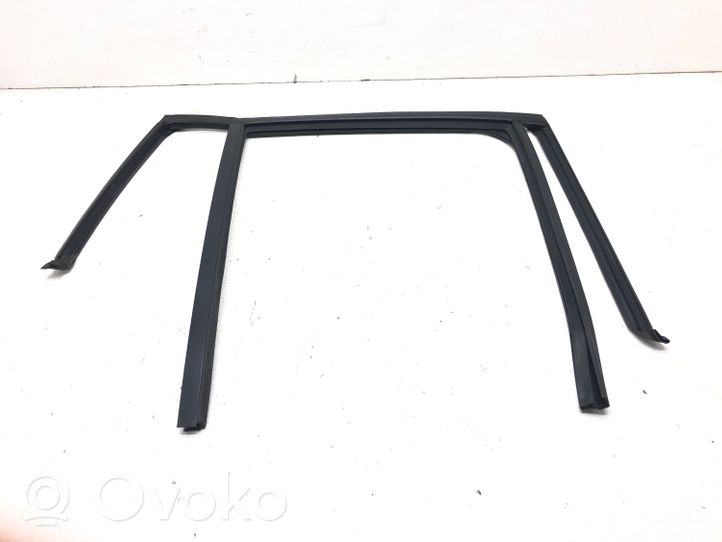 BMW X3 F25 Rubber seal rear door window/glass 7205754