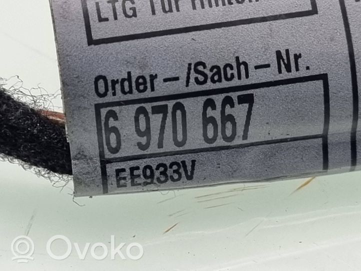 BMW X5 E70 Wiązka przewodów drzwi tylnych 6970667