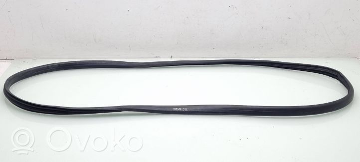 Renault Megane III Rear door rubber seal (on body) 