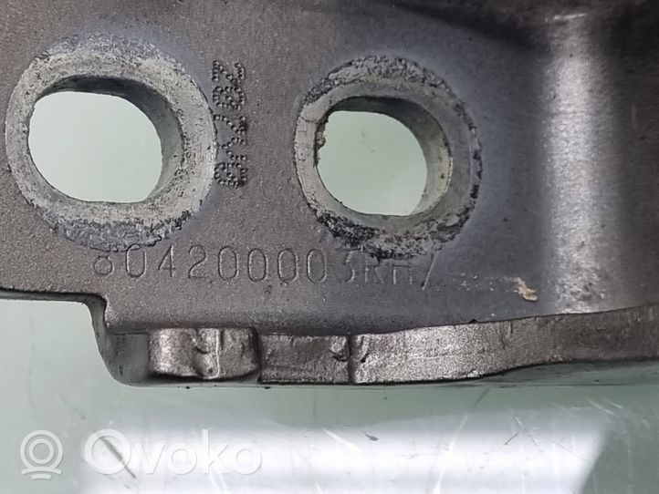 Renault Megane III Rear door hinge set 