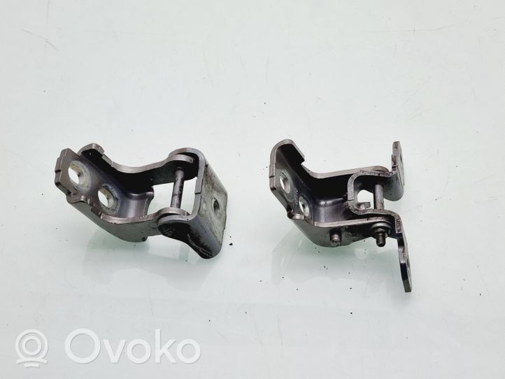 Renault Megane III Rear door hinge set 