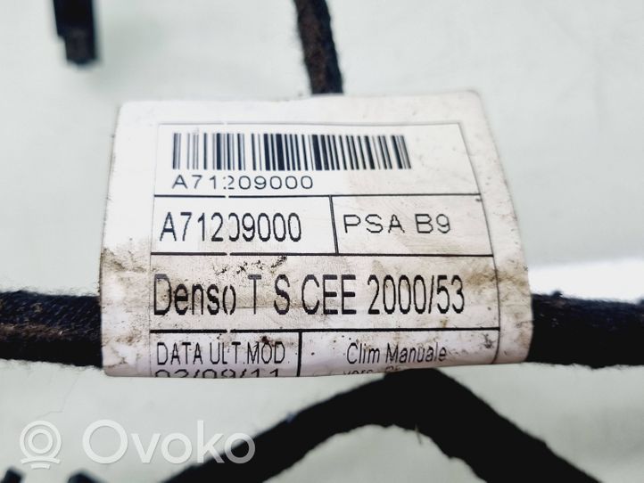 Citroen Berlingo Paneelin johdotus A71209000