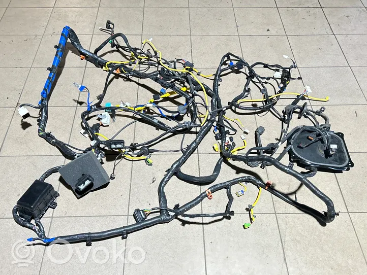 KIA Sportage Right interior wiring harness 915D1F1090