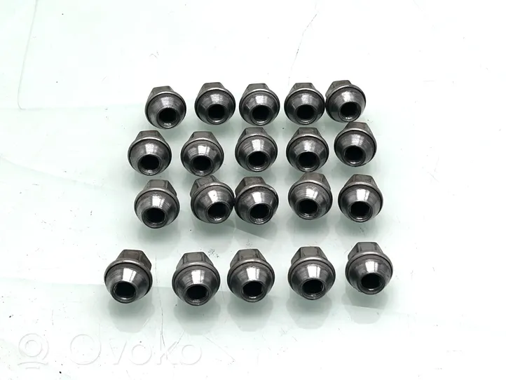 Ford Focus Nuts/bolts 