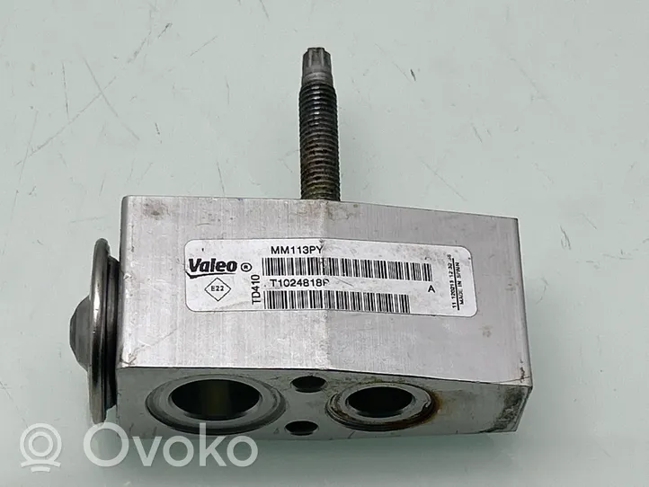 Opel Meriva B Zawór rozprężny klimatyzacji A/C T1024019T