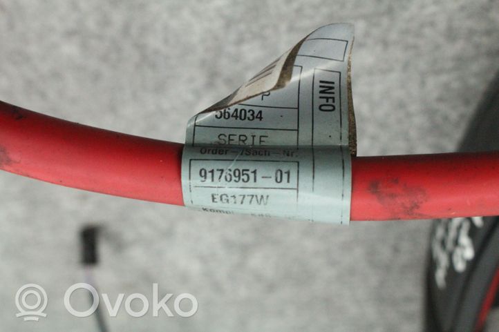 BMW M6 Positive cable (battery) 9176951