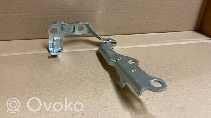 Toyota Land Cruiser (J100) Vyris (-iai) variklio dangčio 5341060050