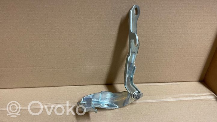 Toyota Land Cruiser (J100) Vyris (-iai) variklio dangčio 5341060050