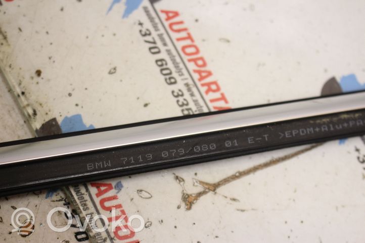 BMW 3 E92 E93 Rivestimento modanatura del vetro della portiera anteriore 7119079