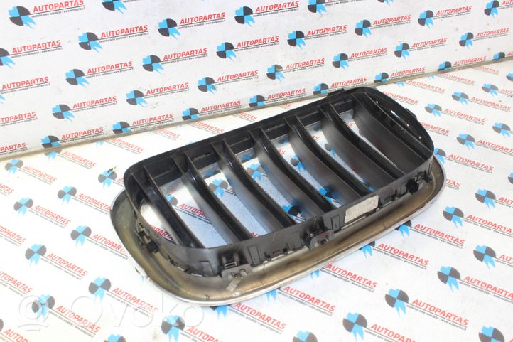 BMW X5 F15 Griglia superiore del radiatore paraurti anteriore 7316075